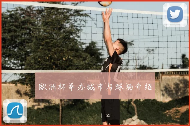 欧洲杯举办城市与球场介绍
