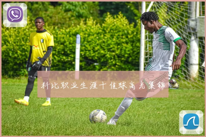 科比职业生涯十佳球高光集锦