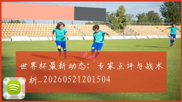 世界杯最新动态:专家点评与战术分析_20260521201504
